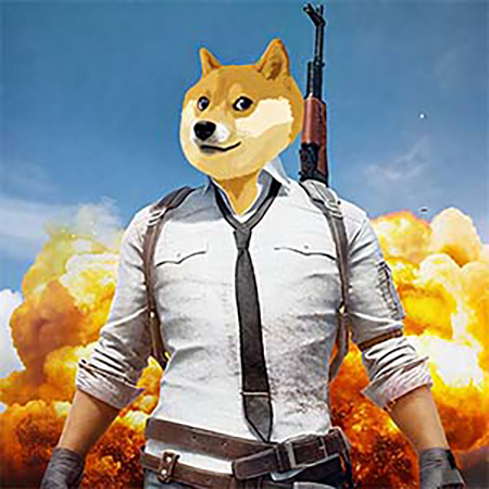 Doge's Battle Royale