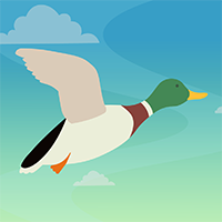 Duckmeister