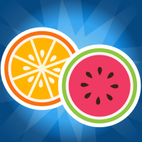 Fruit Juicer