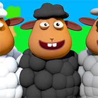 Funny Sheep