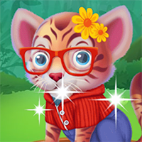 Wild Animal Care And Salon